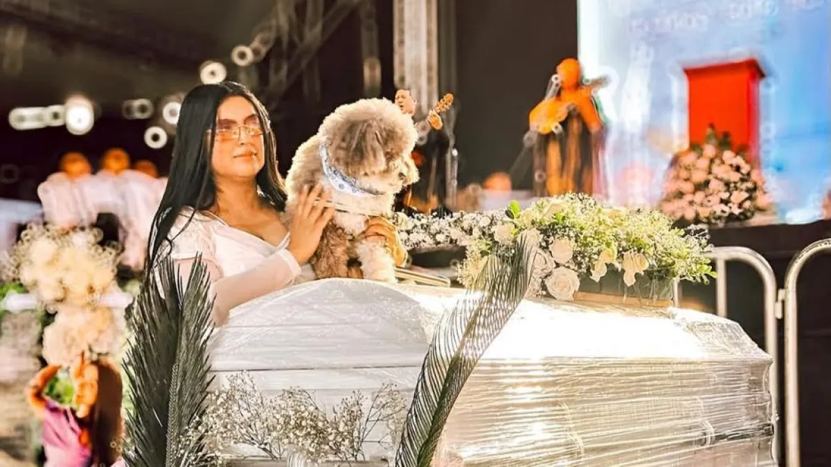 Loyal dog rests on owner's coffin in heartbreaking farewell