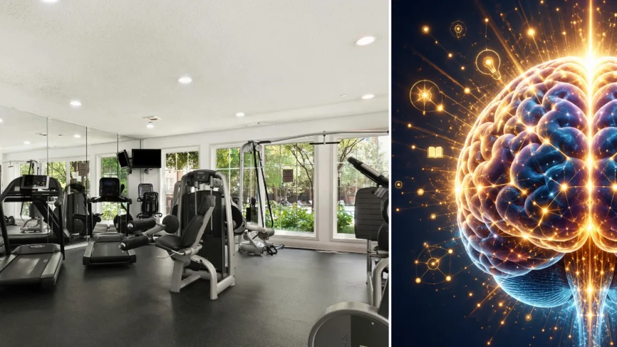 José Luis Trejo, neurocientífico, revela qué tipo de entrenamiento beneficia más al cerebro: 'El mejor lugar para entrenar no es el gimnasio'