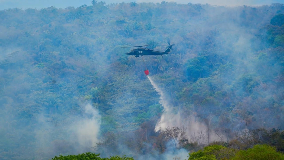 Cundinamarca enfrenta tres incendios forestales y refuerza operaciones en La Vega y Caparrapí