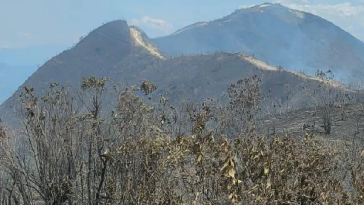 El fuego no da tregua en Antioquia: despliegan operativos en varios municipios para frenar las llamas