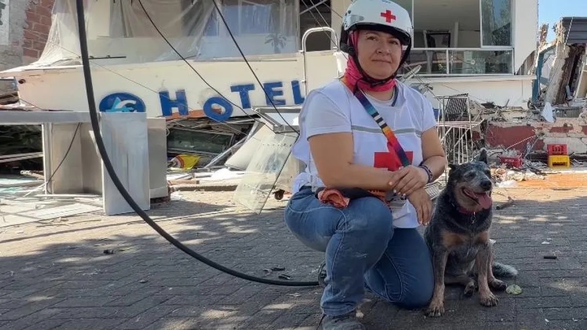 Waika, la perra de la Cruz Roja que a sus siete años ayudó en el rescate de víctimas del terremoto en Pereira