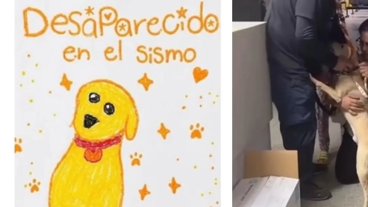 Niña de Cali dibujó a su perrito perdido durante el terremoto y, gracias a la comunidad, logró encontrarlo