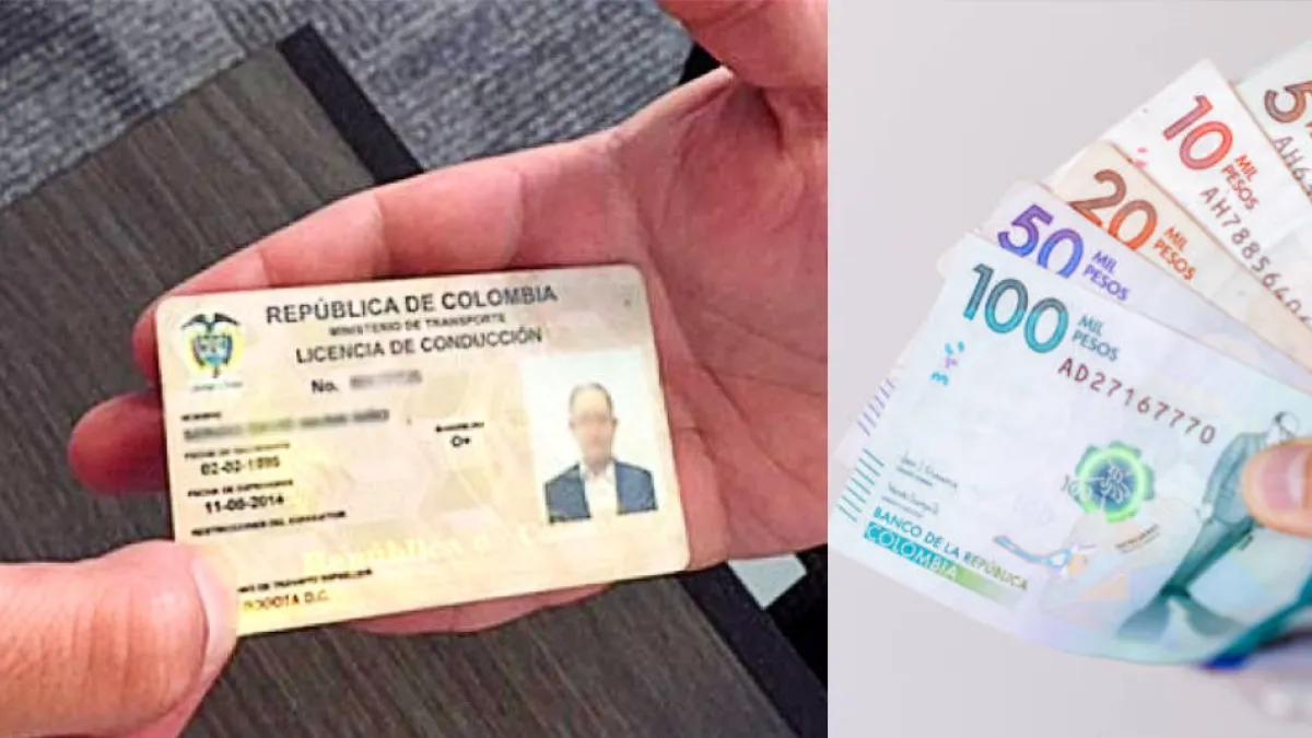 ¿Cuánto vale el duplicado de la licencia de conducción en Colombia? Esto es lo que debe saber del trámite