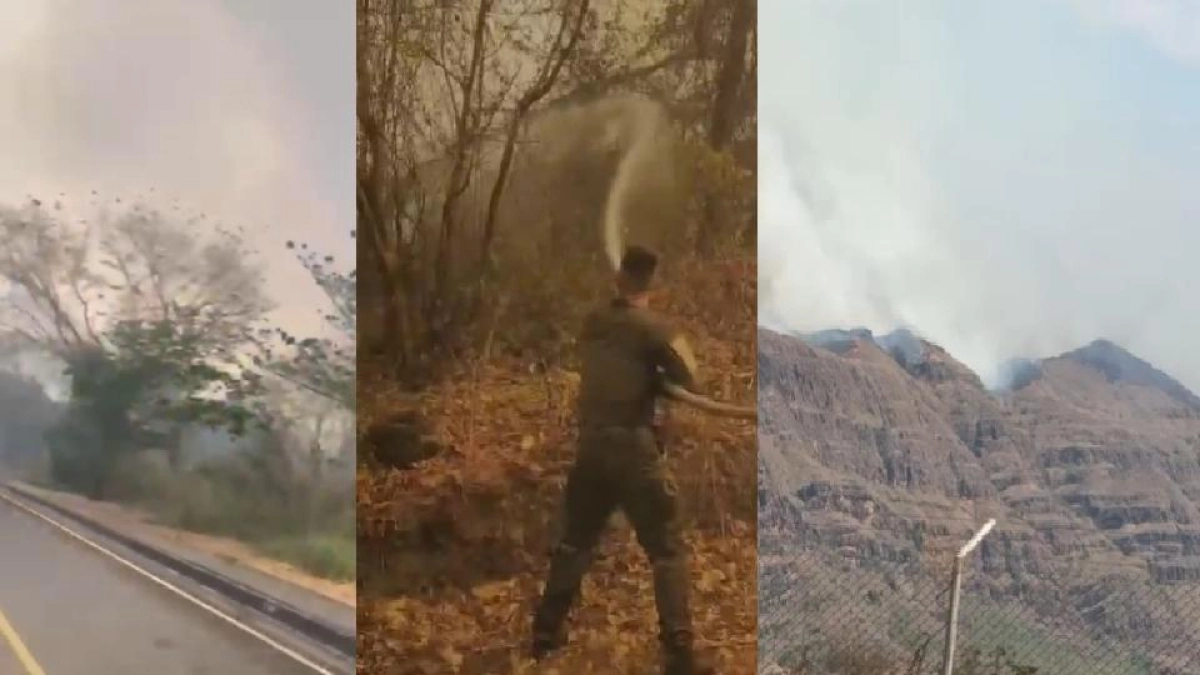 Grave incendio forestal se presenta en Tolima con riesgo de expandirse a la Escuela Internacional de Entrenamiento de la Policía y viviendas