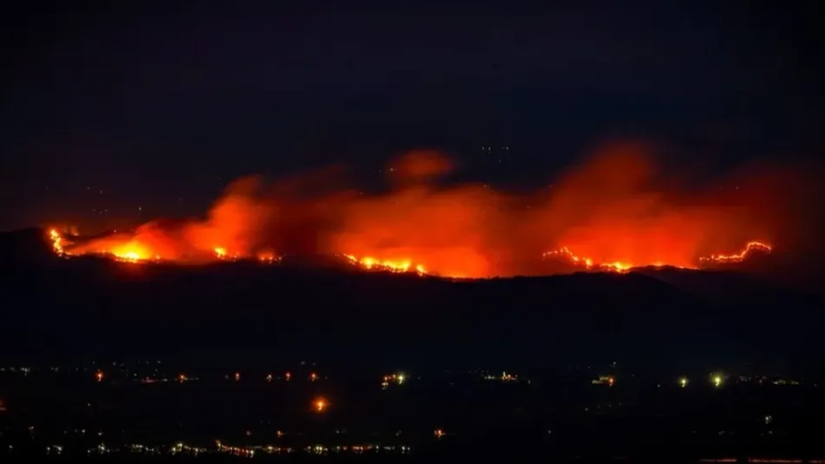 Hay cinco departamentos con incendios forestales; Tolima es el más afectado, este es el último balance de la UNGRD