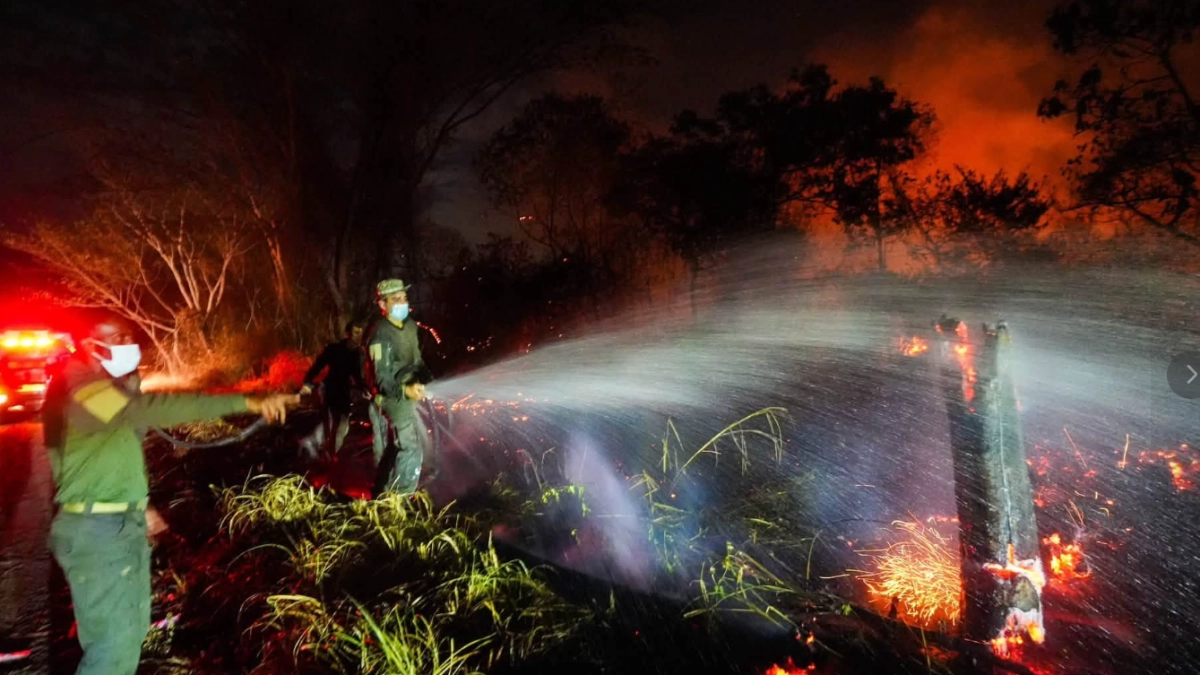 Incendios en Colombia serían un 'abrebocas' de lo que traerá El Niño: advierte experto ambiental