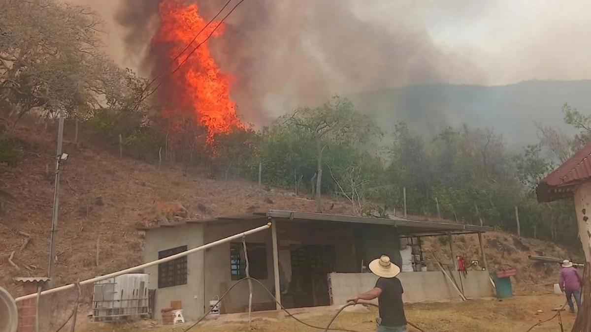 En una vereda del Tolima el fuego se reavivó, estuvo cerca de alcanzar viviendas y las familias escaparon milagrosamente de las llamas