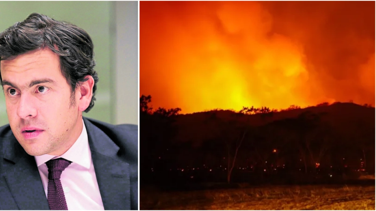 Capturan a dos presuntos implicados en incendios forestales en Tolima: Gobierno habla de acción criminal