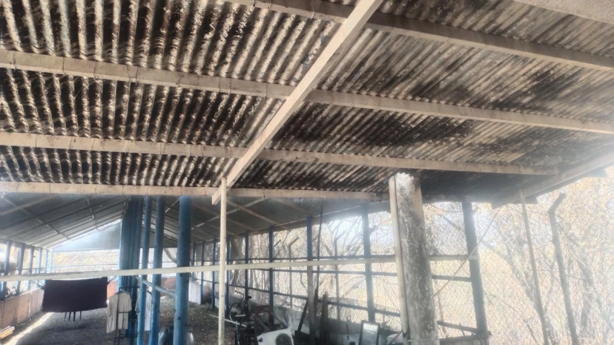 Crece el drama de familias que lo han perdido todo por cuenta de los incendios forestales en el Tolima: el fuego colapsa la capacidad institucional