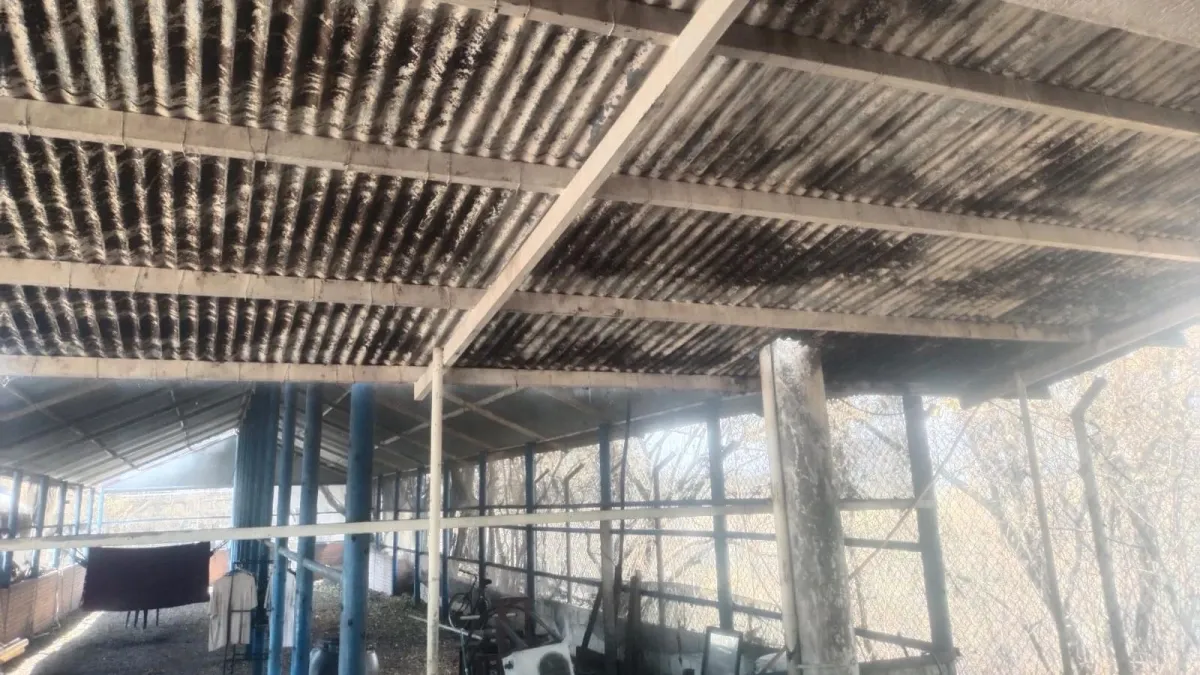 Crece el drama de familias que lo han perdido todo por cuenta de los incendios forestales en el Tolima: el fuego colapsa la capacidad institucional