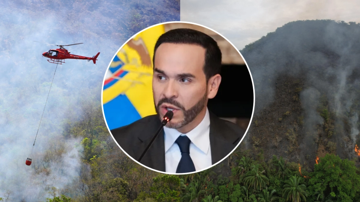 Tolima entra en calamidad pública por incendios y activa plan de recuperación