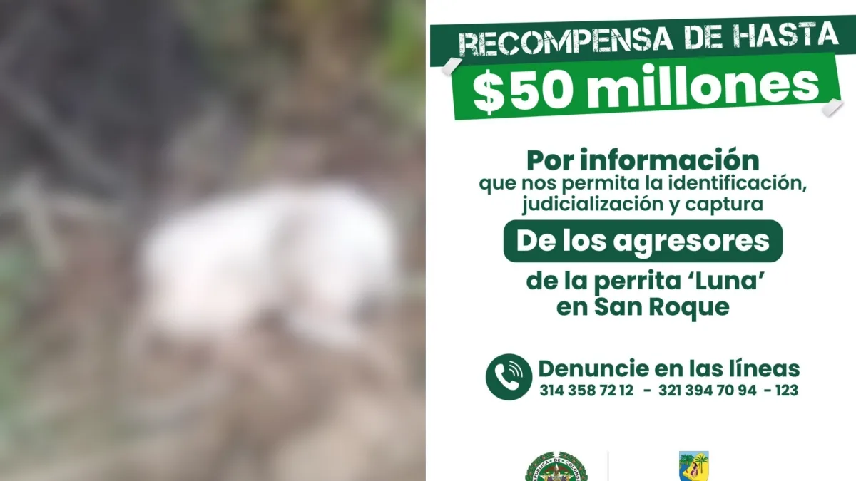 Ofrecen 50 millones de pesos de recompensa por información de los responsables del abuso sexual y muerte de la perrita Luna en San Roque, Antioquia
