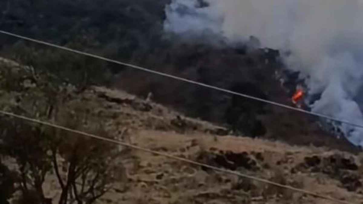 Incendios forestales en el Valle: 40 bomberos luchan contra el fuego en unas 400 hectáreas que no da tregua desde hace casi una semana en Buga