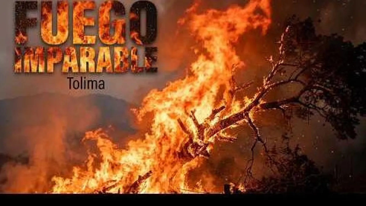Tolima bajo las llamas: más de 50.000 hectáreas en cenizas