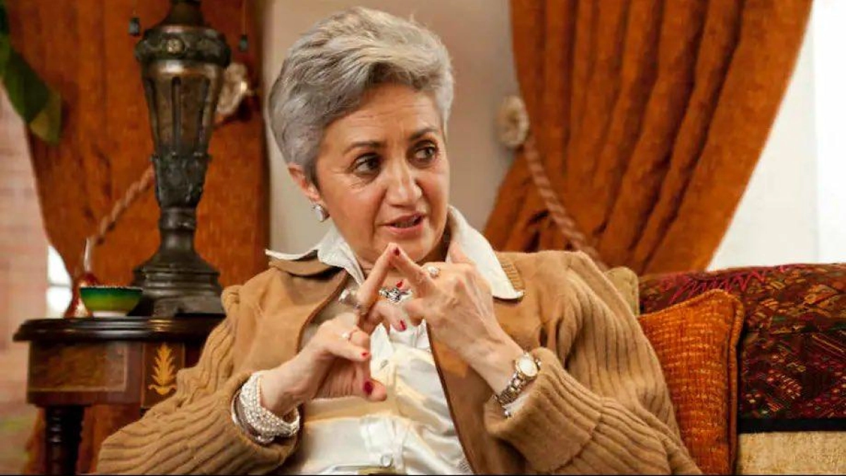 Las posturas que han marcado la carrera de Ilva Myriam Hoyos, la nueva ministra de Educación del gobierno de Abelardo De la Espriella