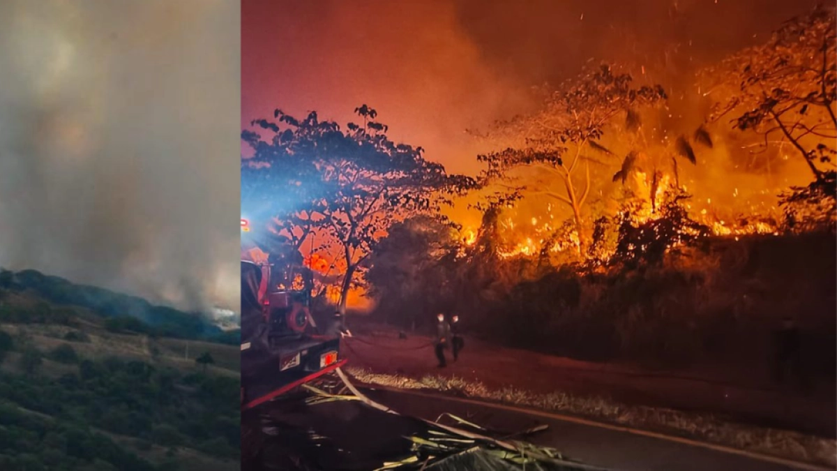 Incendio arrasó finca ganadera en Armero: 242 reses quedaron sin agua ni alimento tras perder hasta el 70 % del predio