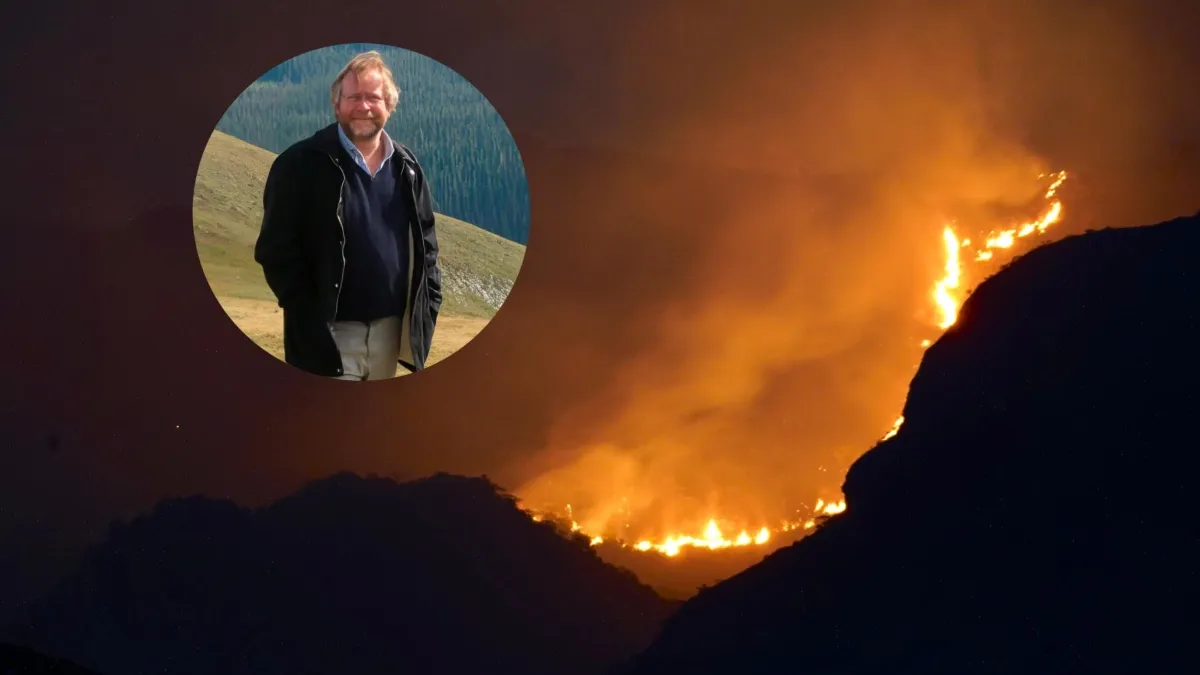 La advertencia de un experto en llamas: ‘Los incendios forestales de gran magnitud eran poco frecuentes en el país, pero podrían volverse más comunes’