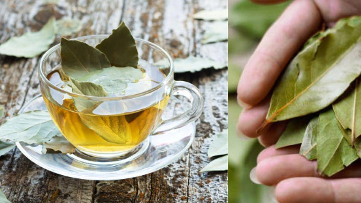 Significado de la hoja de laurel en agua: conozca el origen, recomendaciones y método de preparación para el hogar