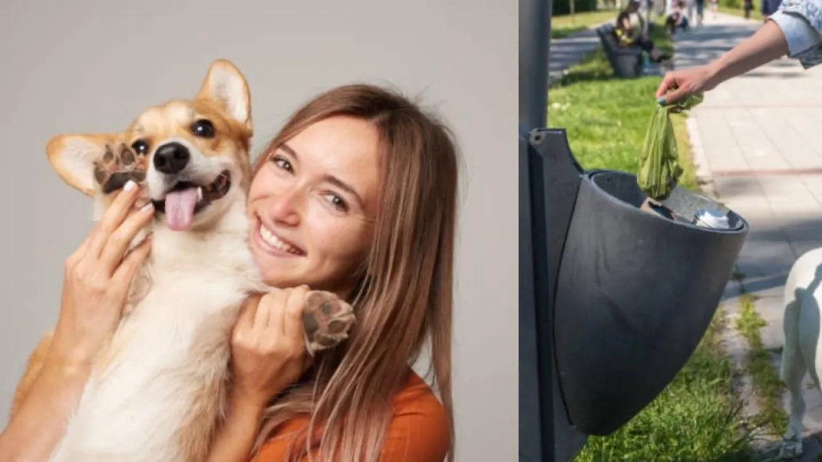 Esta es la multa que podría recibir por no recoger los excrementos de su perrito: la sanción es de $116.127 en Bogotá
