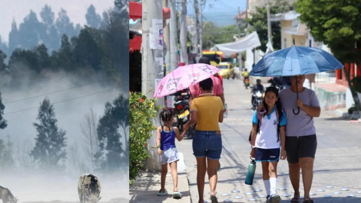 ‘Estamos pasando por una transición de extremos climáticos’: Ideam explica porqué hace tanto frío en unas zonas de Colombia y tanto calor en otras