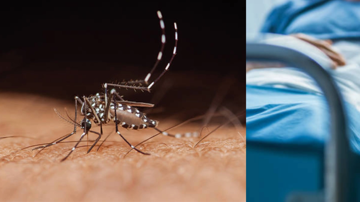 ¿Qué es el virus del Nilo Occidental que ha dejado 41 muertos y más de 500 infectados en Italia?