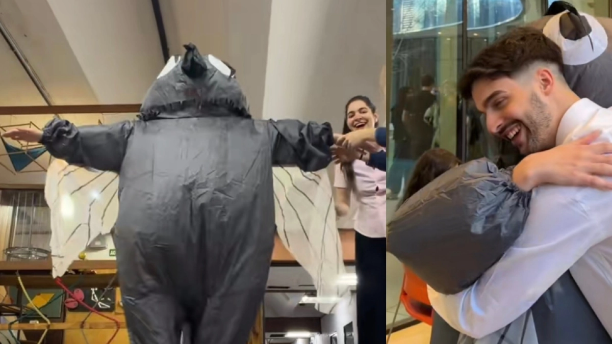 Presentó su tesis sobre el dengue y sus amigos lo sorprendieron disfrazados de mosquito: el curioso homenaje se volvió viral