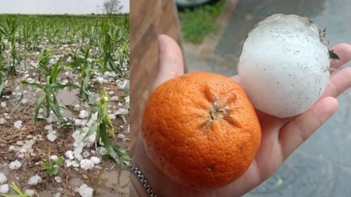 Granizo del tamaño de mandarinas: así fue el impactante clima que azotó Argentina