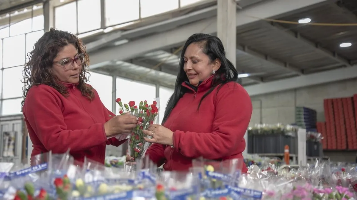 10 mil mujeres serán beneficiadas con iniciativa de Compensar para promover el bienestar menstrual