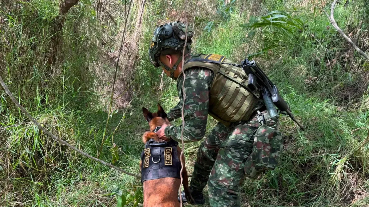 Hallan 100 kilos de explosivos del Eln en Santander que serían usados durante visita presidencial a Bucaramanga