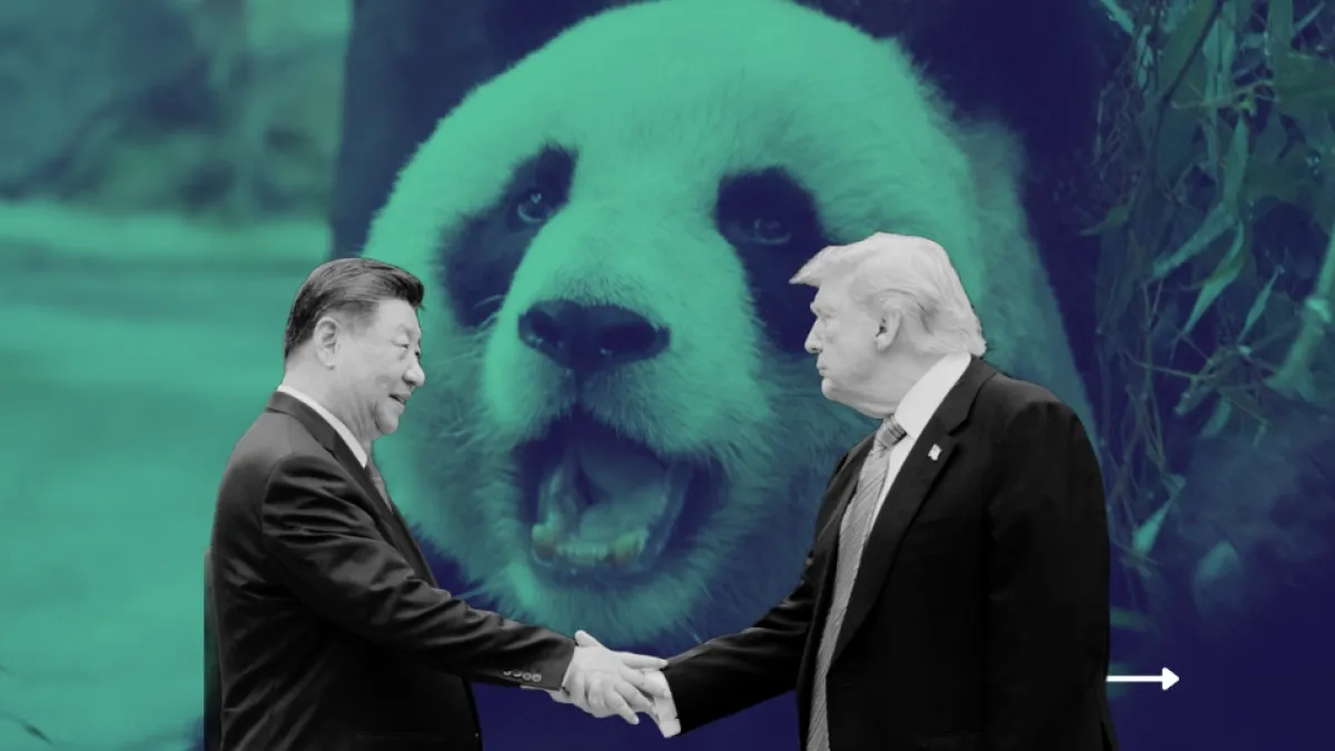 ¿Qué es la ‘diplomacia del panda’?: lo que hay detrás de curioso gesto de Xi Jinping y lo que simboliza para las relaciones entre EE. UU. y China