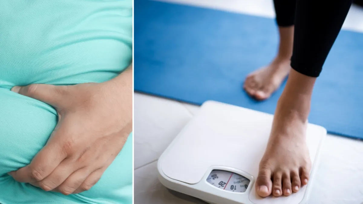 University of Campinas researchers study strength training on obese mice