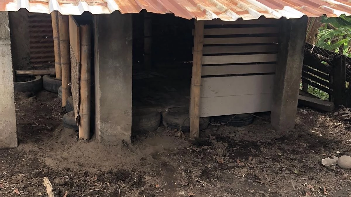 SOS: Refugio de animales pide donaciones de materiales para reconstruir su sede en Armenia