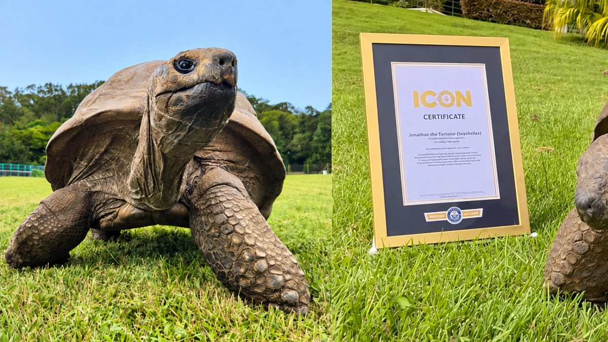 Jonathan, la tortuga de 194 años, recibe el reconocimiento ICON de Guinness World Records por ser animal terrestre vivo más viejo del mundo