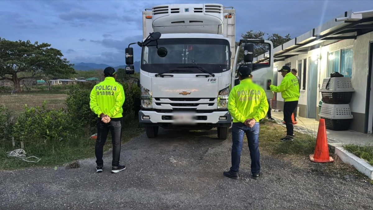 Las labores de un perro antinarcóticos y del FBI que permitieron hallar 600 kilos de base de coca dentro de un furgón en Ibagué