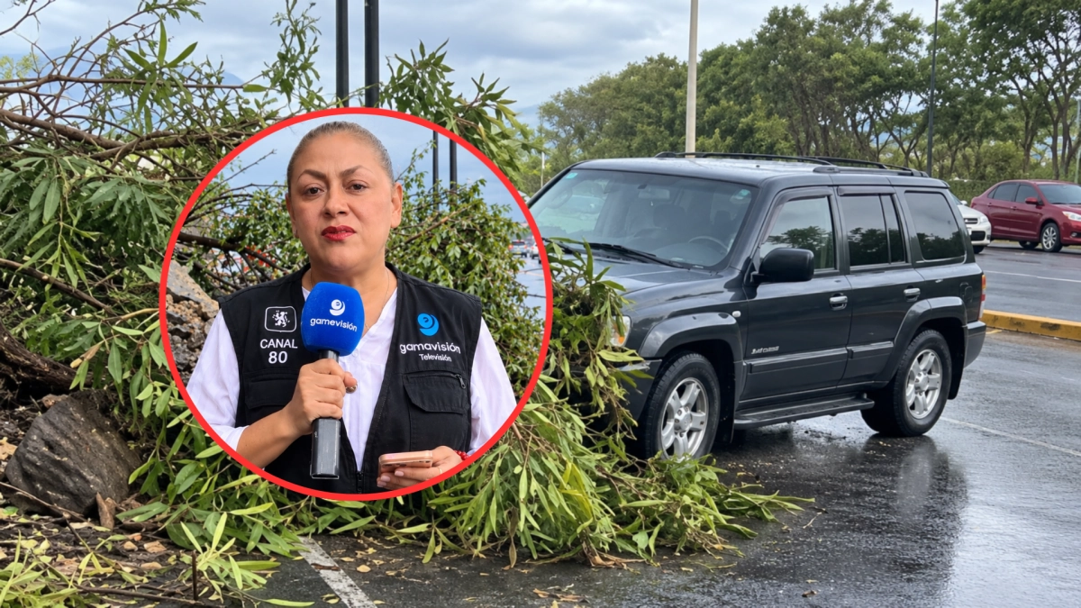 Periodista y camarógrafo del canal Gamavisión fueron atropellados en plena transmisión en vivo en Monterrey, México: ambos están fuera de peligro