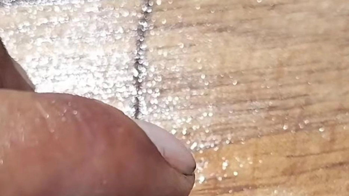 Larvas en los ojos de peces en Hidrosogamoso: alarma en Santander por imágenes impactantes, expertos hablan de qué pasaría con el consumo humano
