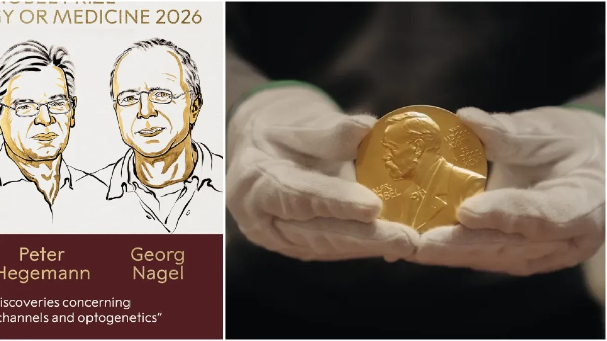 Premio Nobel de Medicina 2026: Karl Deisseroth, Peter Hegemann y Georg Nagel reciben el galardón por sus descubrimientos sobre la optogenética