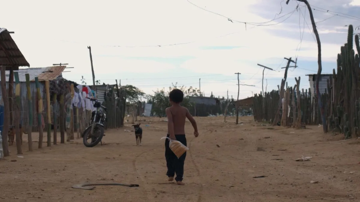 Procuraduría investiga a 25 funcionarios por incumplimientos a la sentencia que busca proteger la niñez Wayuú