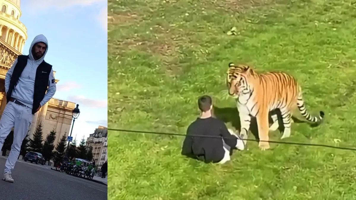 Así fueron las últimas horas de William Chapman, el joven de 24 años que murió tras el ataque de un tigre siberiano en el Reino Unido