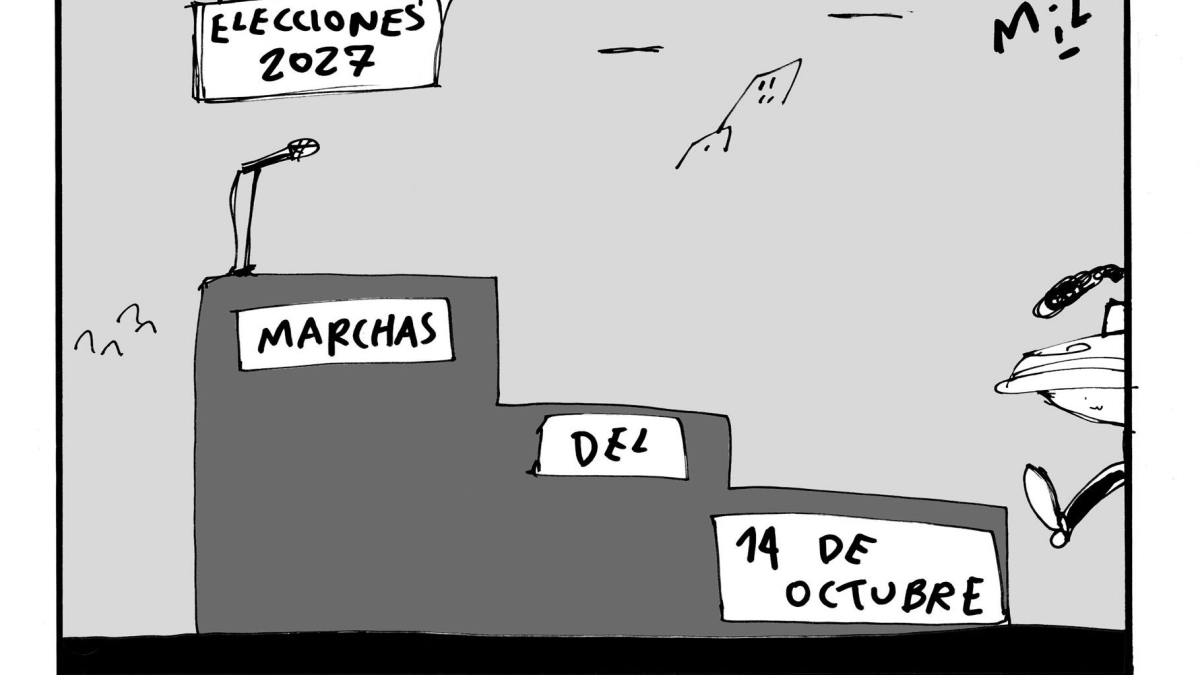¿Plataforma política