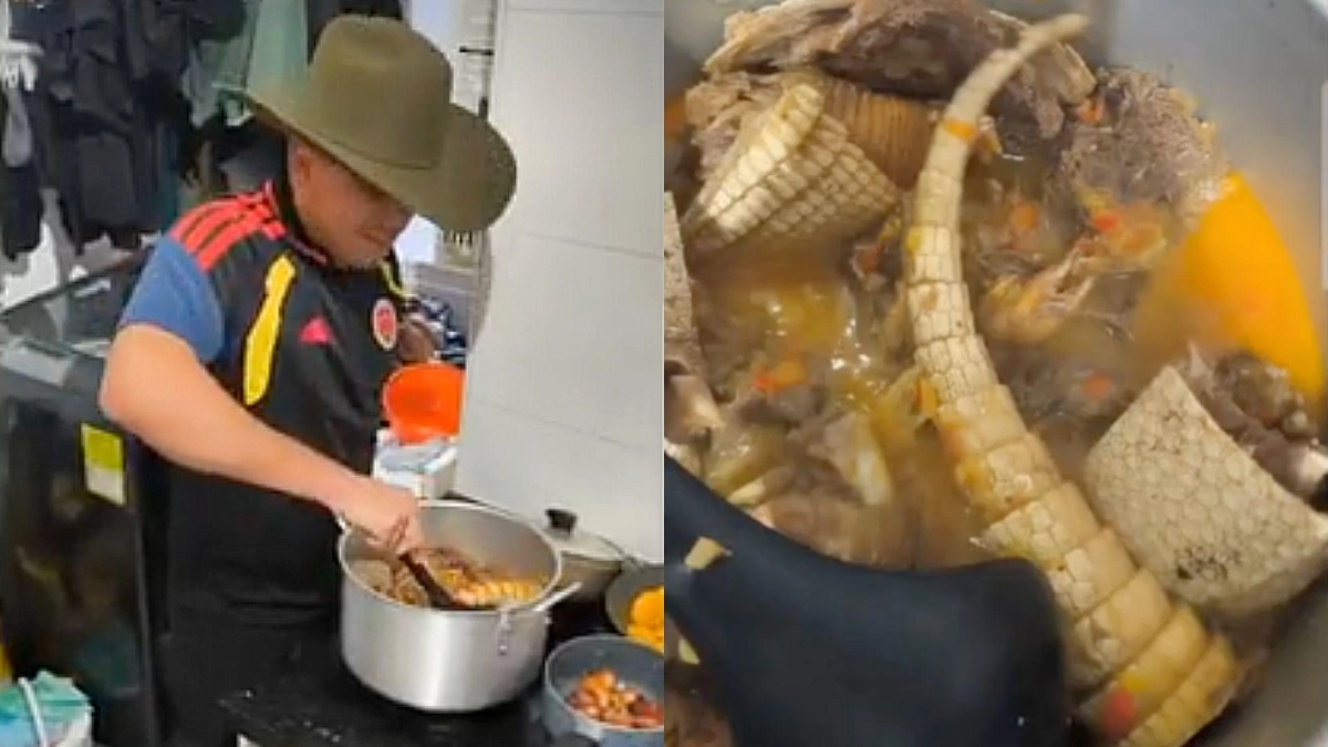 Denuncian que un funcionario de la ANT habría cocinado un armadillo, especie silvestre protegida; piden intervención del Gobierno
