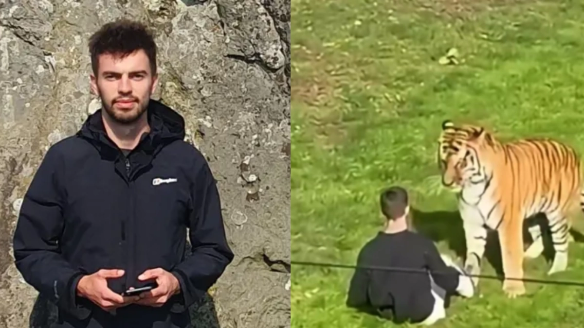 Hombre que murió tras entrar a jaula de tigres en un zoológico de Inglaterra era actor: estas son las producciones en las que apareció William Chapman