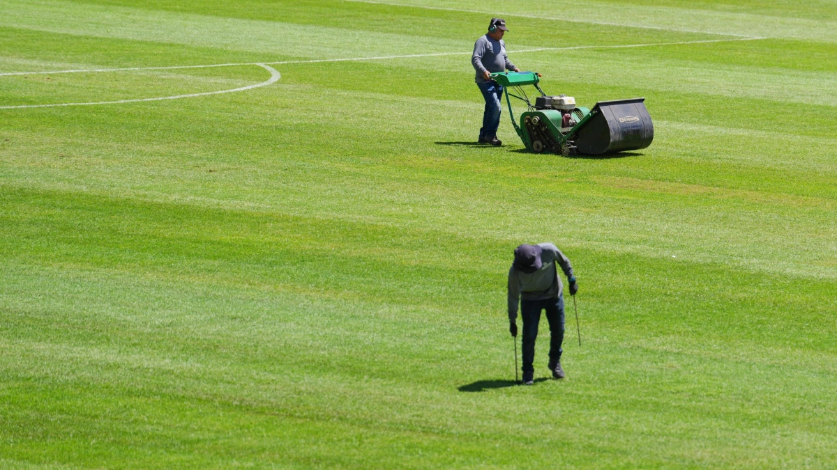Hay partido: la cancha de El Campín pasó la prueba para el juego del sábado entre Millonarios y Jaguares