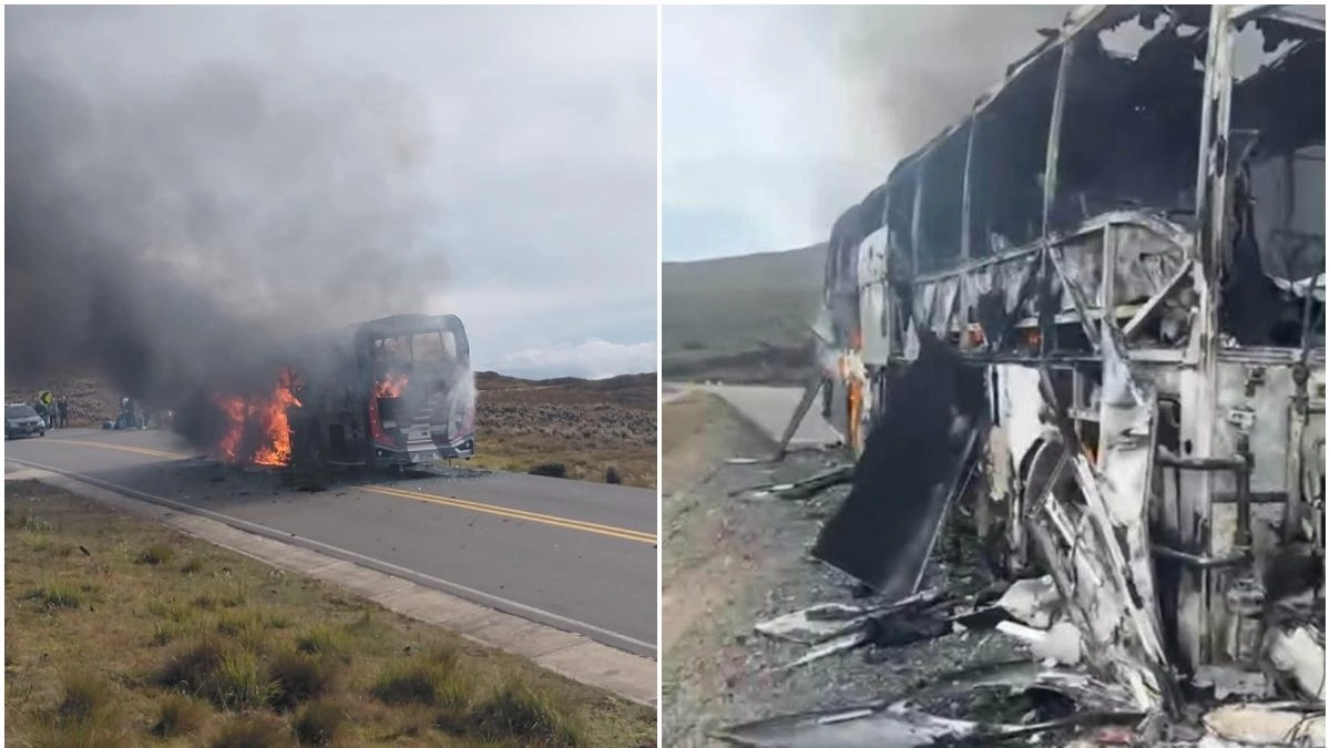 Santander despliega fuerte ofensiva militar y ofrece recompensa de 50 millones de pesos tras la quema de un bus en la provincia García Rovira