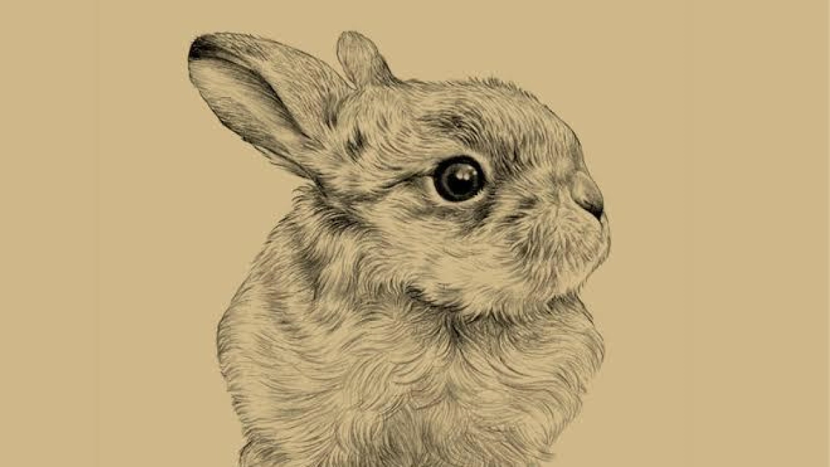“La liebre y yo”, un libro que nos recuerda la importancia de nuestro vínculo con la naturaleza