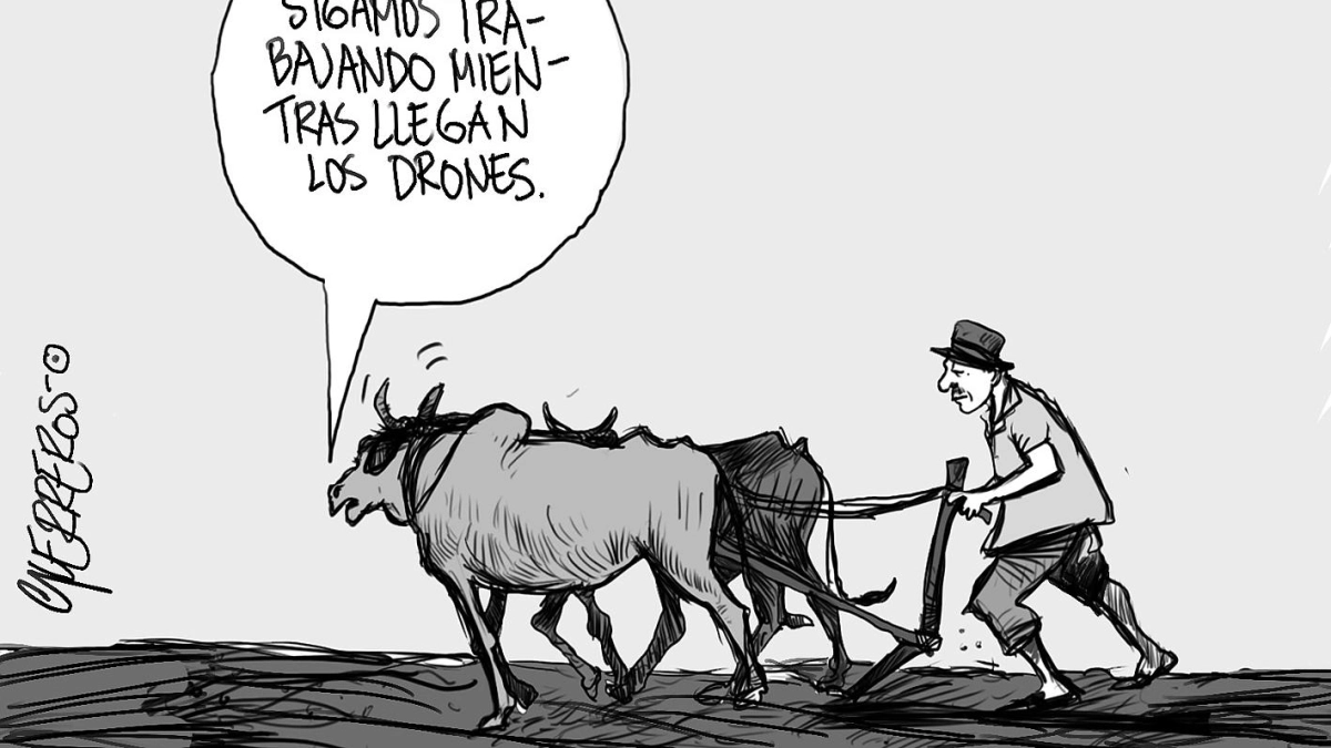 Futuro del campo