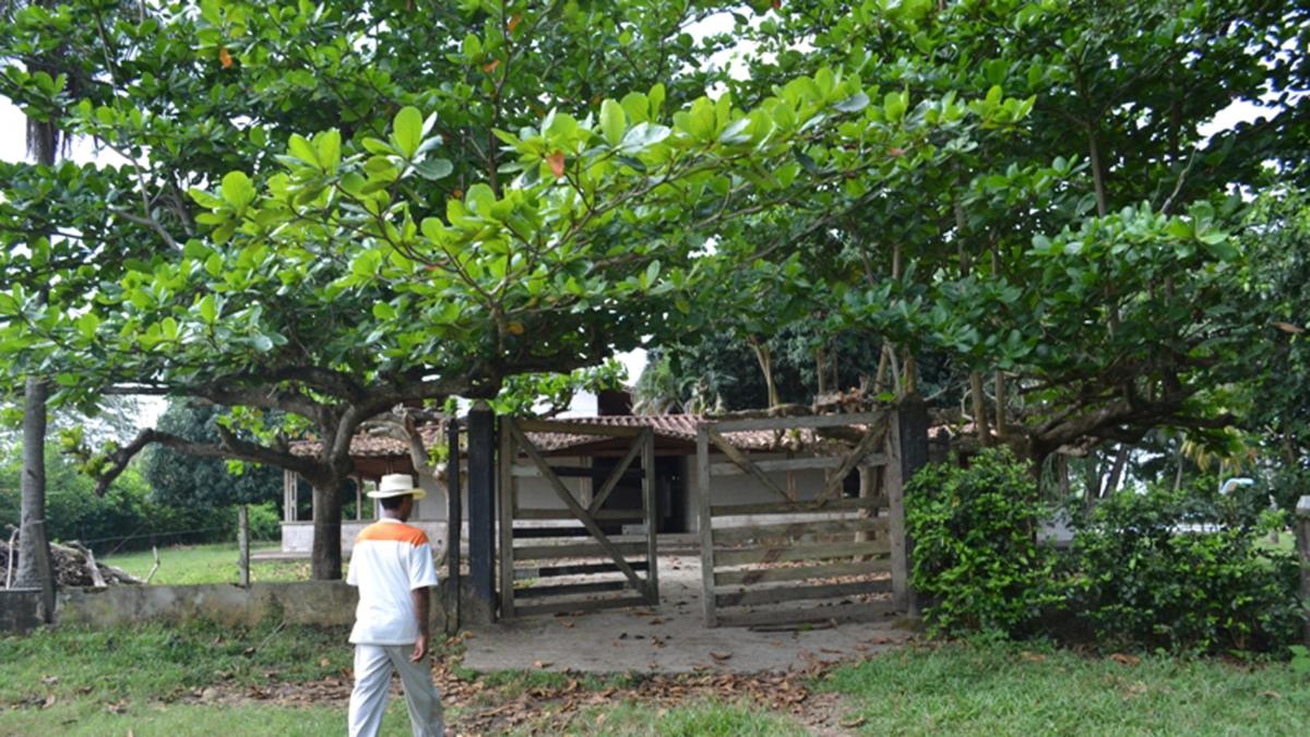 Denuncian presencia de leones en zona rural de Montería