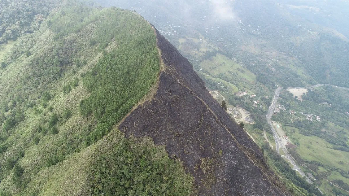 Incendios forestales: los mapas inteligentes que ayudan a identificar las zonas de mayor riesgo