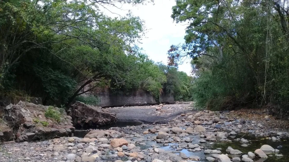 Alerta por posible sequía asociada al fenómeno de El Niño: nueve municipios de Cundinamarca se unen a la CAR para proteger sus fuentes de agua