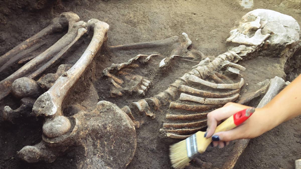 Homo erectus es unos 200 000 años más antiguo de lo que se creía